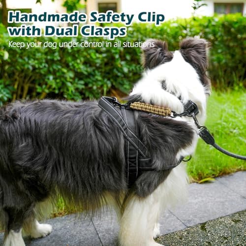 PetBonus Dog Collar Safety Clip, Handmade Prong Collar to Harness Connector - Image 4
