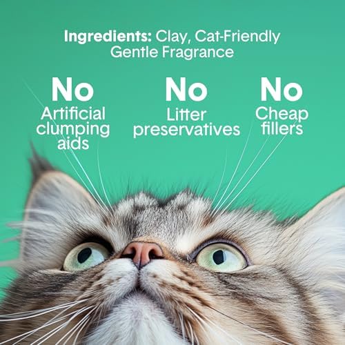Boxie Premium Scented Clumping Cat Litter 30+ Day Odor Control 28 lb - Image 4