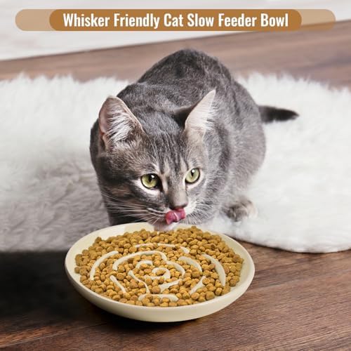 Slow Feeder Cat Bowl Set of 2, Ceramic Slow Feeding Cats Bowl Whisker Friendly, Anti Vomiting Cat Feeder for Dry and Wet Food，Fun Maze Interactive Bloat Stop Puzzle Bowls for Healthy Eating Diet - Image 5