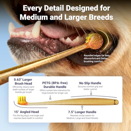 Dog Toothbrushes for Medium and Large Dogs, 2pcs, Ultra Soft Bristle, Long Durable Handle, Pet Tooth Brush and Dental Care Kit, Super Thin Bristle Gentle on Gum for Sensitive Pets, Amber - Image 2
