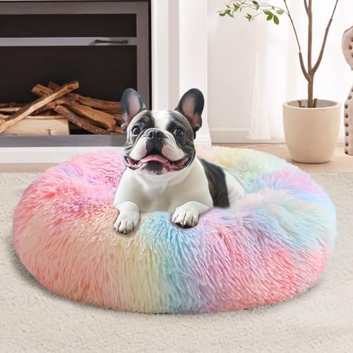 JOLLYVOGUE Calming Small Dog & Cat Bed for Indoor Cats - 20 inches Washable Donut Bed for Kittens & Puppies, Anti-Anxiety Round Fluffy Plush Pet Beds (Fits up to 15 lbs, Rainbow) by JOLLYVOGUE