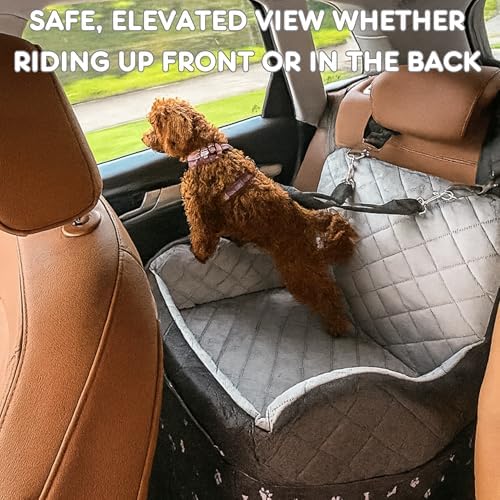 OtterPets Dog Car Seat for Small Dogs & Medium Under 30 lbs, Bonus Safety XS Harness, Dog Booster Car Seat with Thick Cushions, 3Storage Pockets with Zipper, 2 Safety Belts - Image 4
