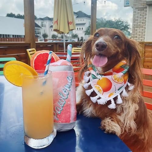 Haute Diggity Dog Pawloma Plush Dog Toy, Cocktail Parody Stuffed Chew Toys - Image 6