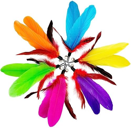 Cat Feather Toys Refills, 14 Pieces Natural Feathers Refills, Cat Wand Replacement Feathers Toy for Indoor Cats - Image 4
