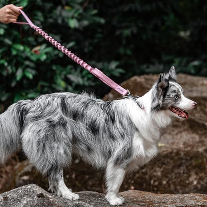 OneTigris Tactical Bungee Leash with 2 Handles Quick Release (Pink) - Image 6