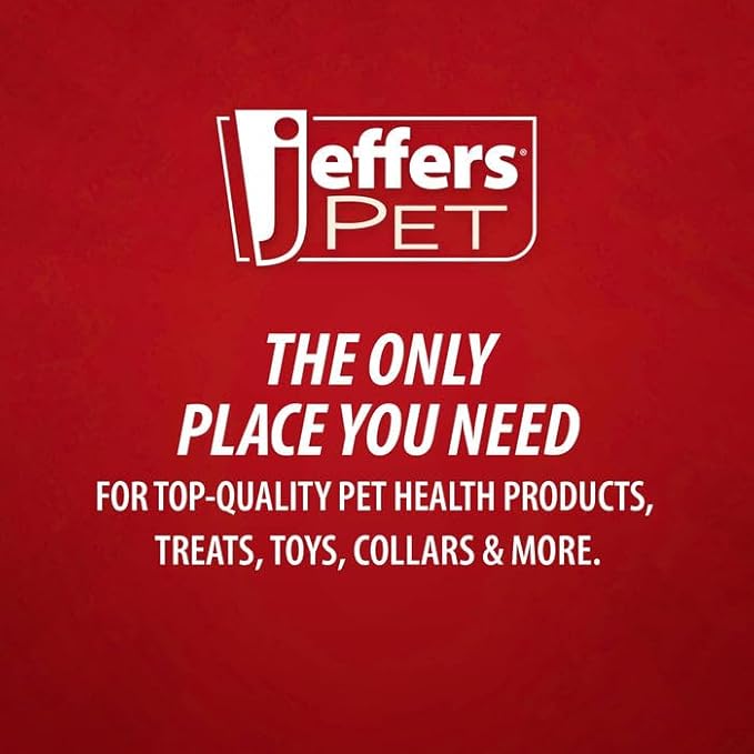 Jeffers Pet Plush Dog Toy with Squeaker, Fuzzy Bear 5" - Soft Crinkle Fabric, Safe & Durable, Healthy Fun for Small & Medium Dogs, Interactive Play, Fetch, Tug - Best Gift for Active Games