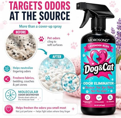 Pet Odor Eliminator Spray, Enzymatic Cleaner for Dog & Cat Urine, Carpet, Furniture & Litter Box, Lavender, 16 oz - Image 3