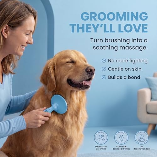 Round Bristle Pet Brush for Dogs and Cats - Soft Dog Brush for Grooming Short or Long Hair - Gentle Tool for Sensitive Skin Removes Dander, Dirt, and Detangles (Blue) - Image 2