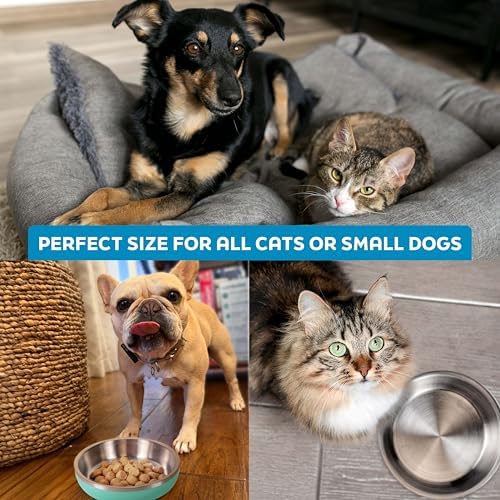 Master Pet Supply Stainless Steel Cat Bowls 9 oz Heavy Duty Pistachio - Image 7