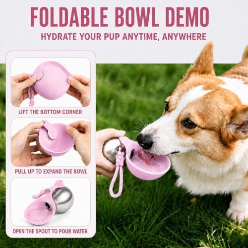 Portable Dog Water Bottle with Bowl, 10oz Leak-Proof Stainless Steel - Image 2