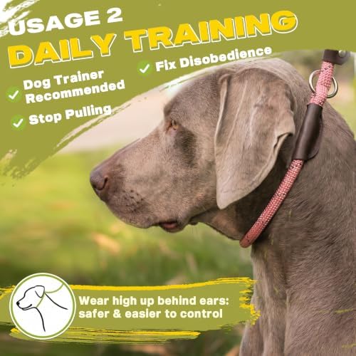 Fida Durable Slip Lead Dog Leash, 4 FT x 1/2" Dog Training Leash, Pink - Image 5
