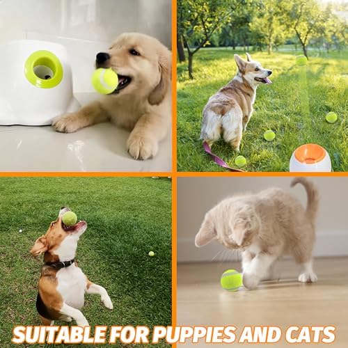 X-Small Dog Tennis Balls Dog Toys Ball 1.5" Pack of 12, Fit Ball Launchers - Image 4