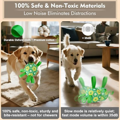 Interactive Dog Toys Dog Soccer Ball to Keep Them Busy(Green) - Image 5