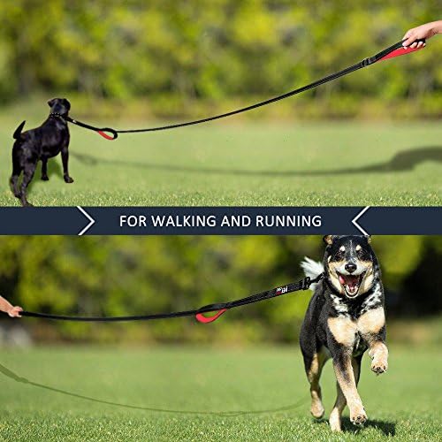 Plutus Pet Double Handle Dog Leash, 4 FT Long, for Medium Large Dogs - Image 6