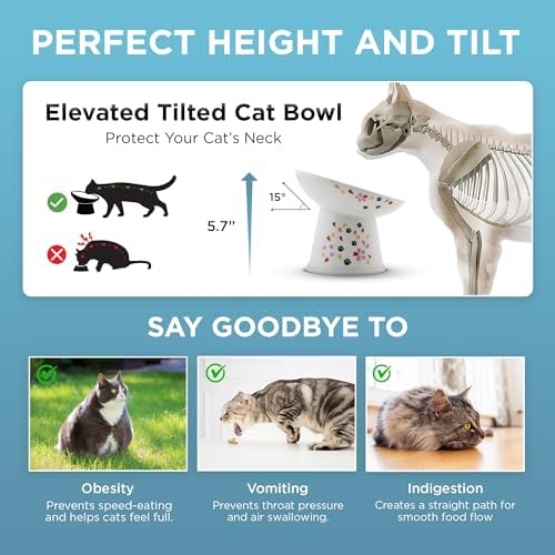Necoichi Raised Cat Food Bowl, 15° Tilted (Sakura Floral, Extra Wide) - Image 5