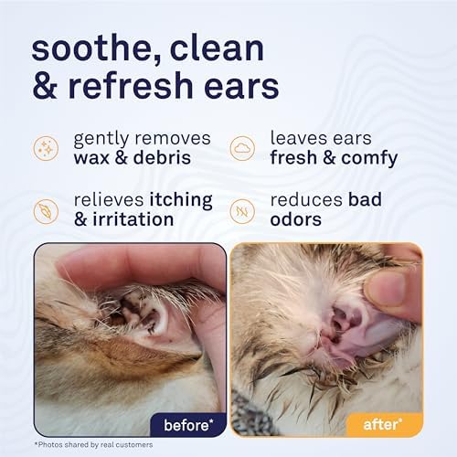 Petpost | Cat Ear Cleaner - Best Ear Remedy for Cats - Natural Coconut Oil Treatment Drops - Alcohol & Medicine Free - 8 oz. - Image 2