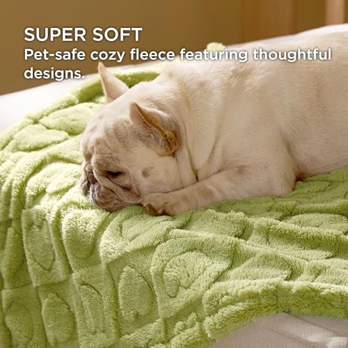 Bedsure Dog Blanket for Small Dogs Puppy and Cats, Soft Fleece, 25x35 Green - Image 2