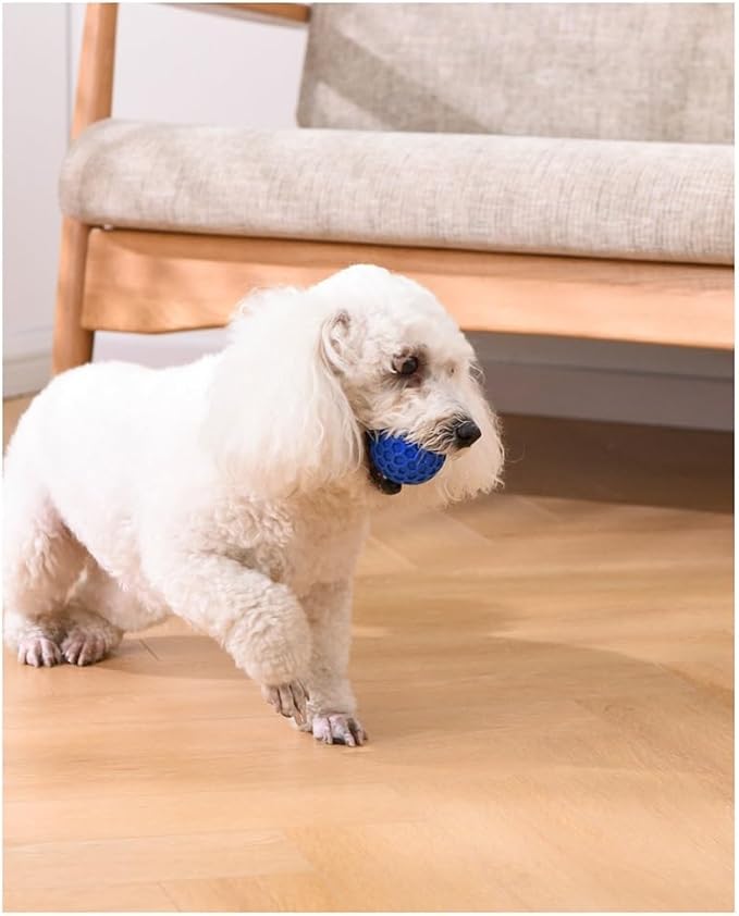 2pcs Small Chuck It Balls Indestructible Dog Toys for Aggressive Chewers Interactive Dog Balls 6.5cm/2.55in Diameter （Blue Green）