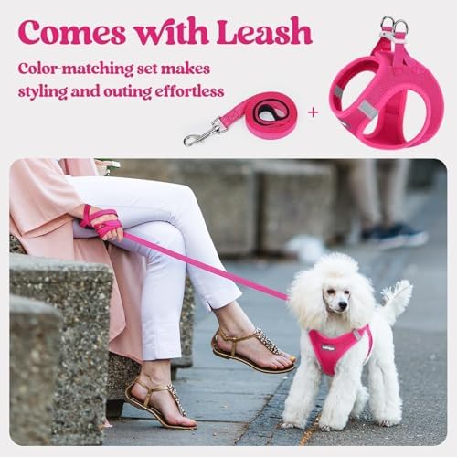 rabbitgoo Dog Harness Medium Sized and Leash Set, Step-in Puppy Pet Vest - Image 6