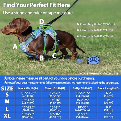 Huntboo Escape Proof Dog Harness, Dachshund Harness, Reflective Dog Harness with Handle, Durable,Adjustable Vest for Small Medium Large Dogs Walking, Training, and Running Gear (Sea Blue,XL) - Image 6