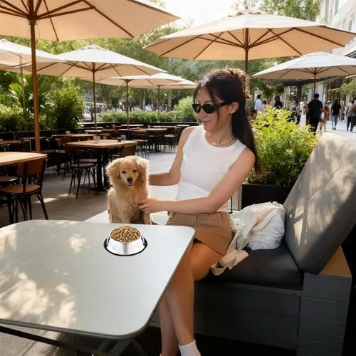 10 Pcs Stainless Steel Dog Bowl Pet Feeding Bowl with Rubber Base Non-Slip Pet Dishes Metal Dog Bowls Pet Food and Water Bowls for Small Medium Animals Kitten Rabbit (10.1 oz) - Image 4