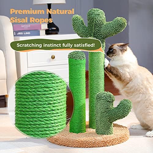 PAWZ Road Cactus Cat Scratching Post 23”Cat Scratcher with Toy Ball - Image 5