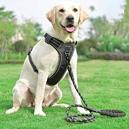 tobeDRI No Pull Dog Harness Adjustable Reflective Oxford Easy Control Medium Large Dog Harness with A Free Heavy Duty 5ft Dog Leash, Black/Red, L - Image 4