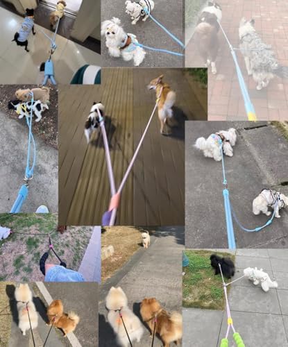 Hands Free Double Dog Leash for Two Dogs, No Tangle 360° Swivel Fit for Small and Medium Breeds, Adjustable Split Leads (Black) - Image 5
