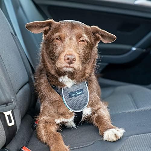 CarSafe Dog Travel Car Harness | Size S - Image 2