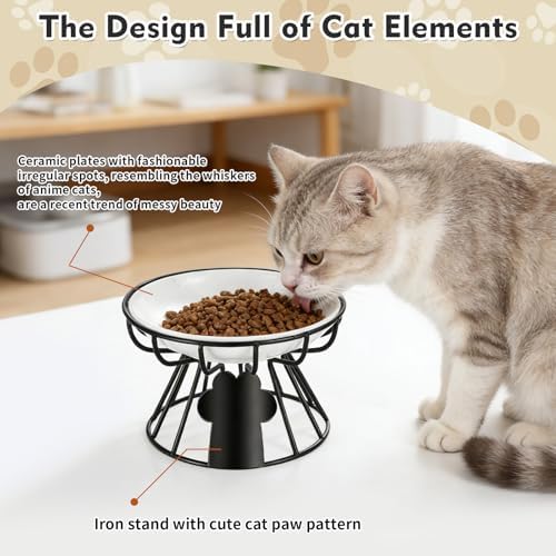 Shallow Cat Dishes with Metal Stand,Elevated Cat Bowl,Ceramic Cat Bowls,Raised Cat Food Bowls,Pet Feeder for Indoor Cats,Kitten and Small Dogs, Dishwasher Safe - Image 3