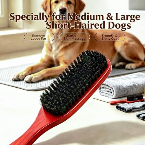 Boar Bristle Dog Brush for Short Haired Dogs, Natural Wooden Grooming Tool, Reduce Shedding, Detangle & Massage Sensitive Skin, Grooming to Calm Dogs & Build Pet Owner Bonding (Red sandalwood) - Image 7