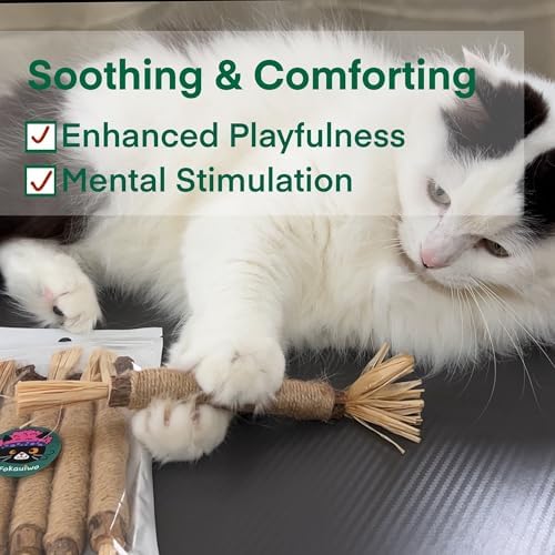 8.66 inches Silvervine Sticks Cat Toys, Natural Catnip Kittens Chew Toy for Teeth Cleaning,Big Catmint Blend Stick, Dental Kitty Chews for Indoor(5 Pack) - Image 5