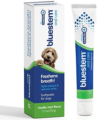 Dog Toothpaste : Vanilla Mint Flavor Tooth Paste for Dogs. Teeth Brushing Cleaner Pet Breath Freshener Oral Care Dental Cleaning Kit. Tartar & Plaque Remover Brushes by bluestem