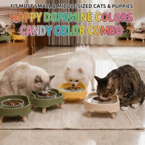 2 Pack Ant Not Cross Elevated Cat Bowls - 4 Food Grade Glass Bowls & 2 Lids - Cat Food and Water Feeding Bowl for Cats&Kittens&Puppy Indoor & Outdoor,Whisker Fatigue Dish,Avocado Green - Image 7