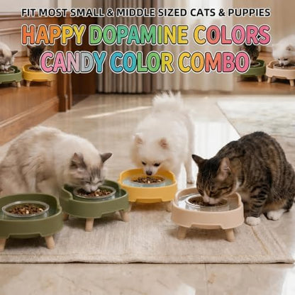2 Pack Ant Not Cross Elevated Cat Bowls - 4 Food Grade Glass Bowls & 2 Lids - Cat Food and Water Feeding Bowl for Cats&Kittens&Puppy Indoor & Outdoor,Whisker Fatigue Dish,Avocado Green - Image 7