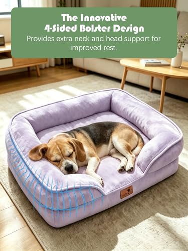 Spotted Play Orthopedic Dog Bed with Sides - Sofa Beds for Medium Dogs, Supportive Foam Pet Couch Bed with Washable Removable Cover, Waterproof Lining and Non-Slip Bottom, Purple - M - Image 5