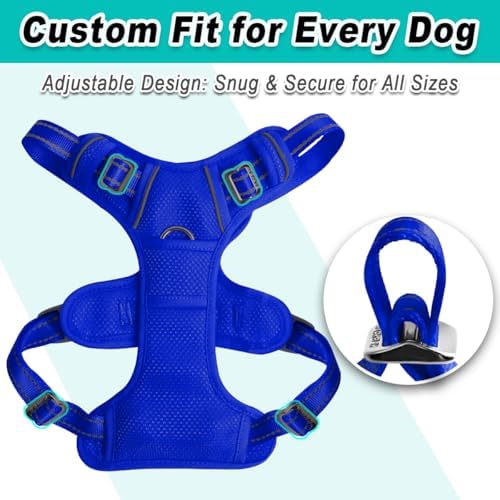 BARKBAY Dog Harness for Large Dog No Pull Mesh 2 Clips Dog Vest - Image 6