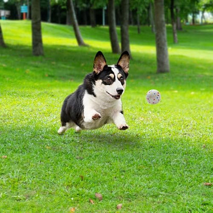 MEKAPLE Dog Balls 2.5 Inch, Indestructible Dogs Tennis Balls 6 Pack for Aggressive Chewers, Durable Bouncy Floating Interactive Dog Toys for Large and Medium Dogs, Packed in Mesh Bag (ETPU Material) - Image 5