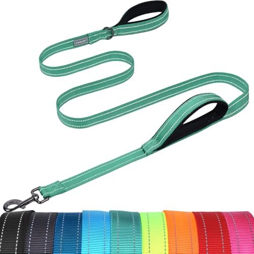VIVAGLORY Double Handle Dog Leash Twingrip, 5ft x 1in, Turquoise by VIVAGLORY