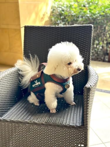 Wakytu Dog Lift Harness Dog Carrier Sling for Small Dogs & Cats,S - Image 2