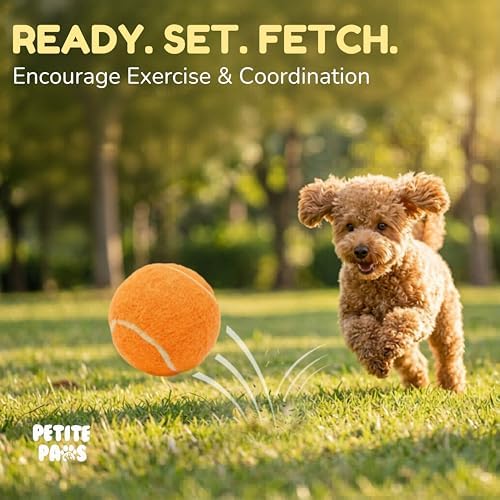 Colorful Squeaky Tennis Balls for Small Dogs and Puppies - 1.5 Inch - 12 Pack - Dog Training Toys for Positive Reinforcement, Interactive Squeaker Ball To Engage Attention Outside, Ball Launcher Fetch - Image 6