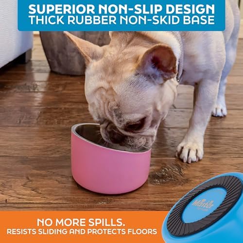 Master Pet Supply Stainless Steel Slanted Dog Cat Food Bowl 8 oz True Blue - Image 5