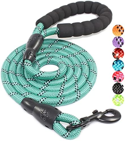 BAAPET 2/4/5/6 FT Dog Leash with Comfortable Padded Handle and Highly Reflective Threads for Small Medium and Large Dogs (5FT-1/2'', Turquoise) by BAAPET