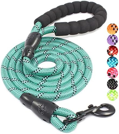 BAAPET 2/4/5/6 FT Dog Leash with Comfortable Padded Handle and Highly Reflective Threads for Small Medium and Large Dogs (5FT-1/2'', Turquoise) by BAAPET