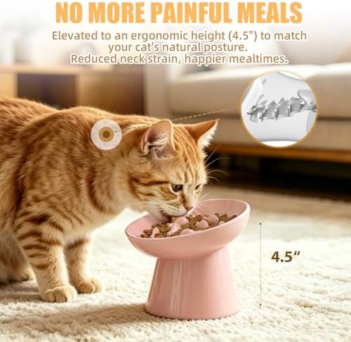 Ceramic Elevated Slow Feeder Cat Bowl - 6" Raised Cat Food Bowl for Bloat Relief & Anti-Vomiting, Whisker Friendly Ceramic Cat Slow Feeder for Indoor Cats, Kittens, Puppies - Pink(1pc) - Image 4