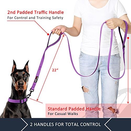 Plutus Pet Double Handle Dog Leash, 4 FT Long, for Medium Large Dogs - Image 2