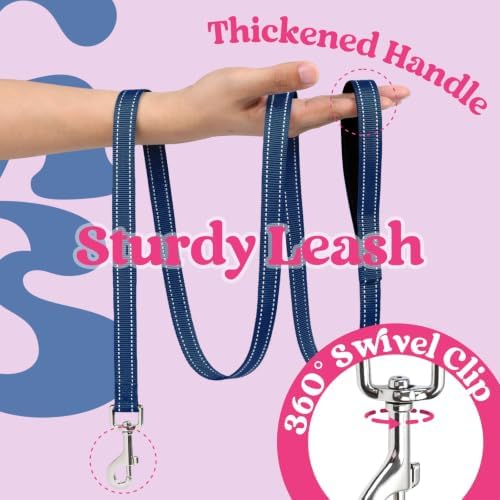rabbitgoo Dog Harness Small Sized and Leash Set, Step in Soft Vest - Image 4