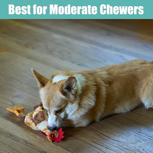 SPOT Skinneeez Chicken 13 Inch Stuffing-Free Plush Squeaky Dog Toy – Soft Interactive Chew Toy for Small and Medium Dogs – Mess-Free Play for Light & Moderate Chewers - Image 5