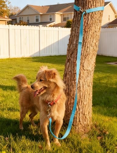 6FT Tie Out Dog Leash Dog Tie down 1"Wide Reflective Nylon Tether - Image 2