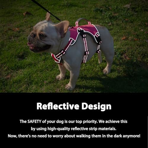 Huntboo Escape Proof Dog Harness, Dachshund Harness, Reflective Dog Harness with Handle, Durable,Adjustable Vest for Small Medium Large Dogs Walking, Training, and Running Gear (Rose red,S) - Image 3